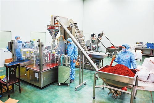 隴右名城熱潮涌動 從田間到舌尖，天水麻辣燙火爆出圈的“初級農產品”密碼