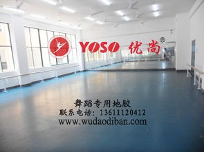 專業(yè)舞蹈塑膠地板 保護(hù)、減震、排壓與批發(fā)的全方位解析